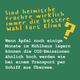 Studio DOCH